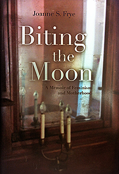 cover of biting the moon